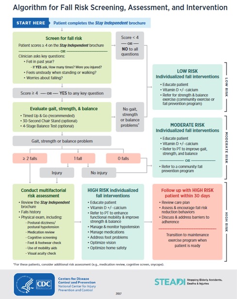 algorithm for fall risk screening, assessment, and intervention