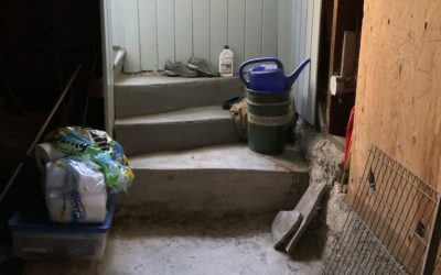 Safer Basement Access