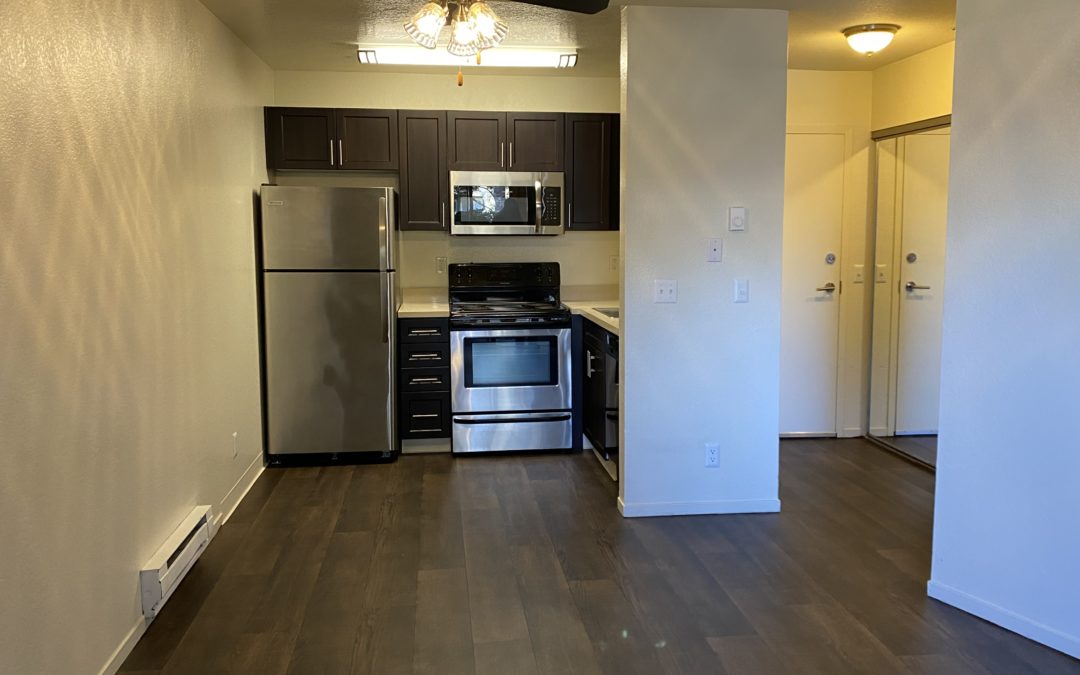 Accessible Apartment Kitchen