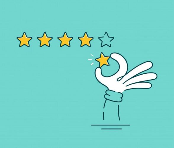 Recent Customer Reviews